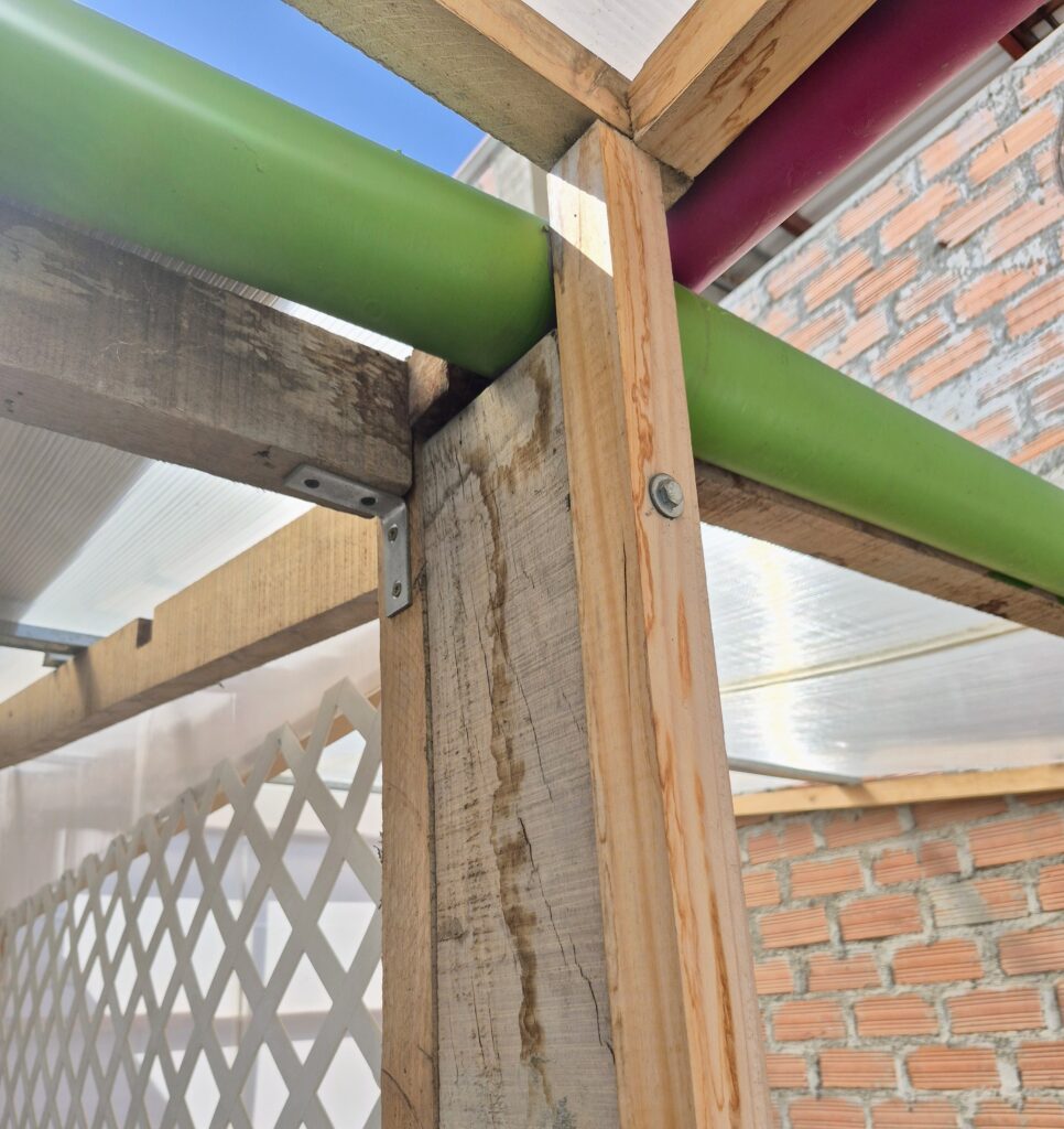 20260305 093336 2.jpg