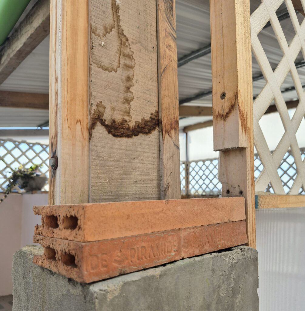 20260305 093642 2.jpg