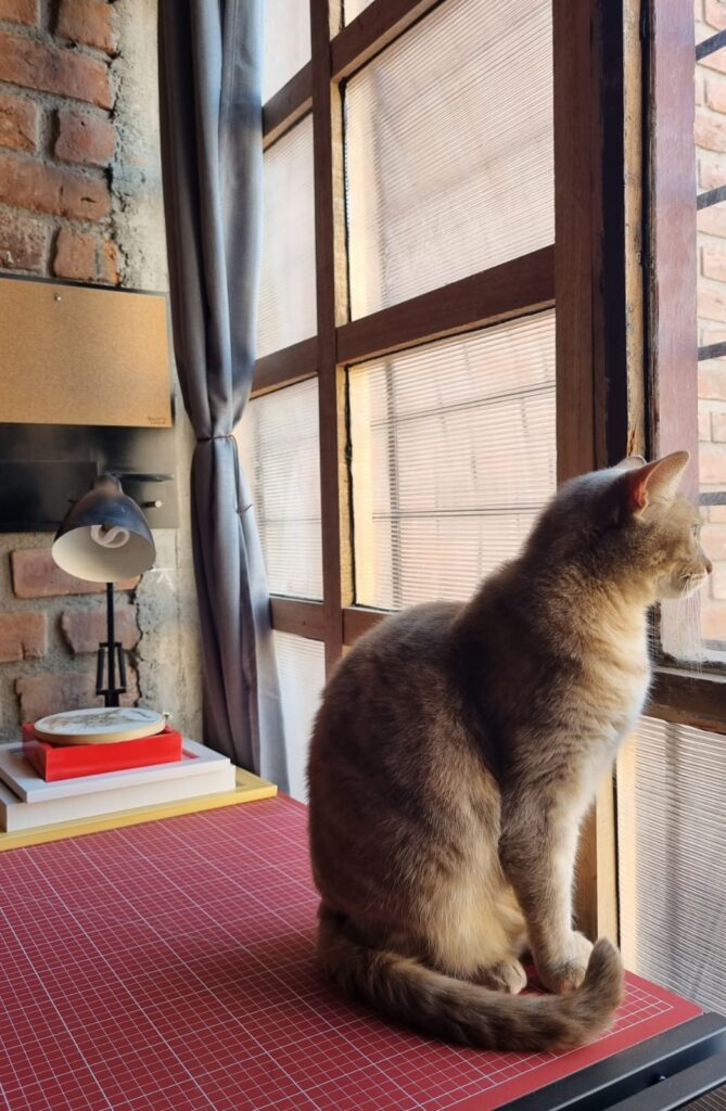 whatsapp image 2026 03 05 at 9.35.25 pm